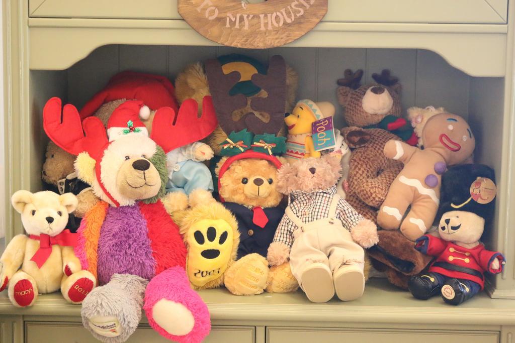 Bear Meets Moose Homestay B&B Puli Luaran gambar