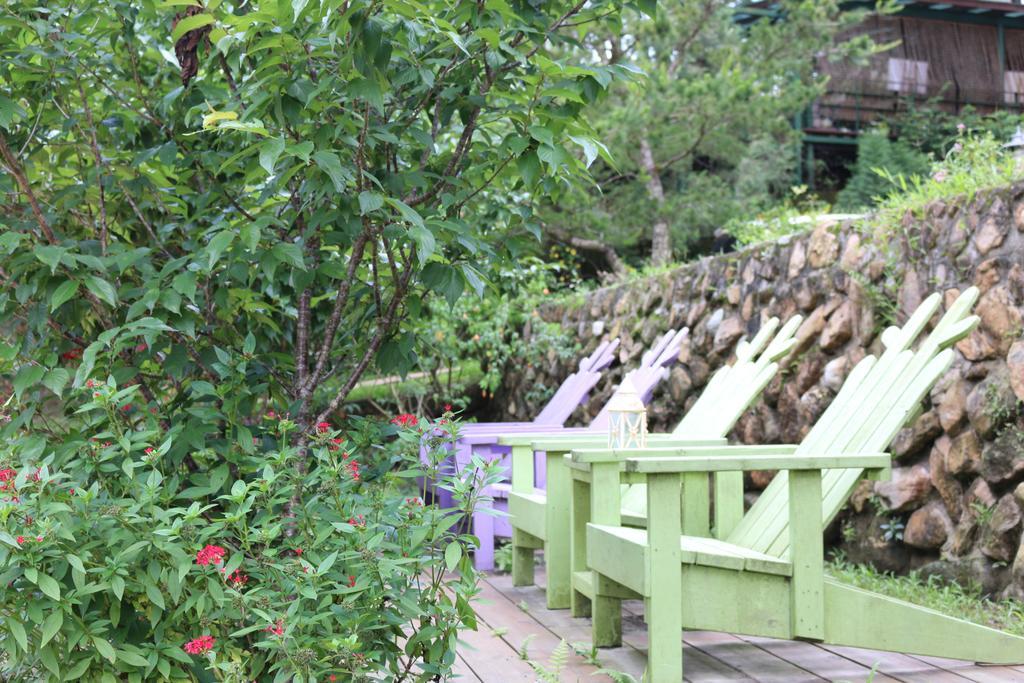 Bear Meets Moose Homestay B&B Puli Luaran gambar